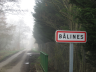 Balines
